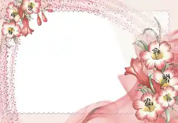 Εφέ φωτογραφιών στην κατηγορία Κορνίζες για φωτογραφίες γυναικών № 15965