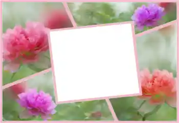 Εφέ φωτογραφιών στην κατηγορία Κορνίζες για φωτογραφίες γυναικών № 160554