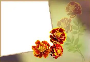 Εφέ φωτογραφιών στην κατηγορία Κορνίζες για φωτογραφίες γυναικών № 160560