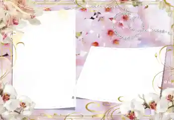 Εφέ φωτογραφιών στην κατηγορία Κορνίζες για φωτογραφίες γυναικών № 160739