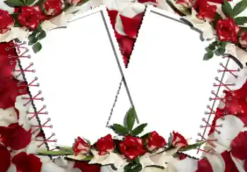 Εφέ φωτογραφιών στην κατηγορία Κορνίζες για φωτογραφίες γυναικών № 160866