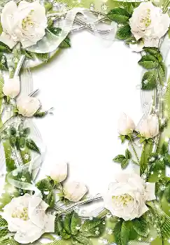 Εφέ φωτογραφιών στην κατηγορία Κορνίζες για φωτογραφίες γυναικών № 1611