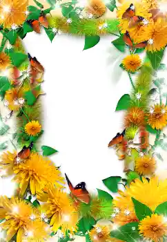 Εφέ φωτογραφιών στην κατηγορία Κορνίζες για φωτογραφίες γυναικών № 1612