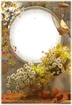 Εφέ φωτογραφιών στην κατηγορία Κορνίζες για φωτογραφίες γυναικών № 161952