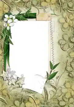 Εφέ φωτογραφιών στην κατηγορία Κορνίζες για φωτογραφίες γυναικών № 161971