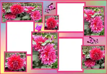 Εφέ φωτογραφιών στην κατηγορία Κορνίζες για φωτογραφίες γυναικών № 162009