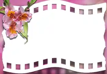 Εφέ φωτογραφιών στην κατηγορία Κορνίζες για φωτογραφίες γυναικών № 163337