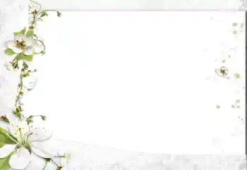 Εφέ φωτογραφιών στην κατηγορία Κορνίζες για φωτογραφίες γυναικών № 163602