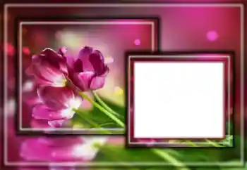 Εφέ φωτογραφιών στην κατηγορία Κορνίζες για φωτογραφίες γυναικών № 164601