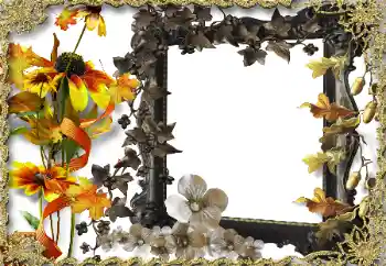 Εφέ φωτογραφιών στην κατηγορία Κορνίζες για φωτογραφίες γυναικών № 164786