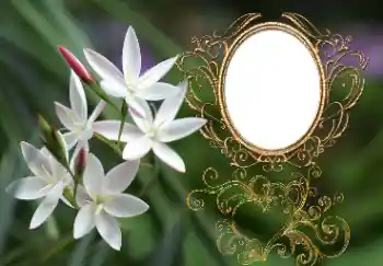 Εφέ φωτογραφιών στην κατηγορία Κορνίζες για φωτογραφίες γυναικών № 164897