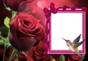 Εφέ φωτογραφιών στην κατηγορία Κορνίζες για φωτογραφίες γυναικών № 166111