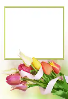 Εφέ φωτογραφιών στην κατηγορία Κορνίζες για φωτογραφίες γυναικών № 166153