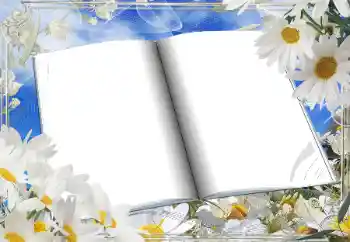 Εφέ φωτογραφιών στην κατηγορία Κορνίζες για φωτογραφίες γυναικών № 166181