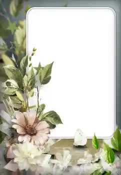 Εφέ φωτογραφιών στην κατηγορία Κορνίζες για φωτογραφίες γυναικών № 166192