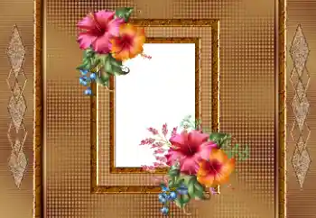 Εφέ φωτογραφιών στην κατηγορία Κορνίζες για φωτογραφίες γυναικών № 166245