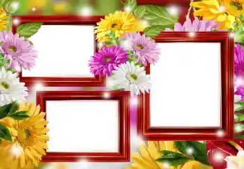 Εφέ φωτογραφιών στην κατηγορία Κορνίζες για φωτογραφίες γυναικών № 166266