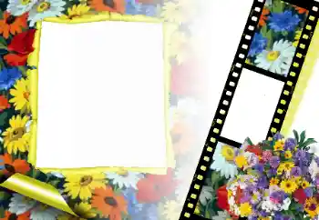 Εφέ φωτογραφιών στην κατηγορία Κορνίζες για φωτογραφίες γυναικών № 166315