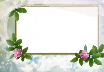 Εφέ φωτογραφιών στην κατηγορία Κορνίζες για φωτογραφίες γυναικών № 166503