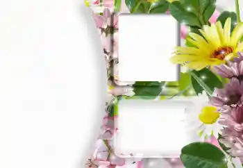 Εφέ φωτογραφιών στην κατηγορία Κορνίζες για φωτογραφίες γυναικών № 166607