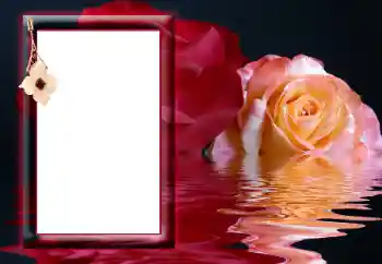 Εφέ φωτογραφιών στην κατηγορία Κορνίζες για φωτογραφίες γυναικών № 166641