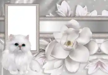 Εφέ φωτογραφιών στην κατηγορία Κορνίζες για φωτογραφίες γυναικών № 167744