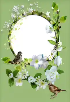 Εφέ φωτογραφιών στην κατηγορία Κορνίζες για φωτογραφίες γυναικών № 167829