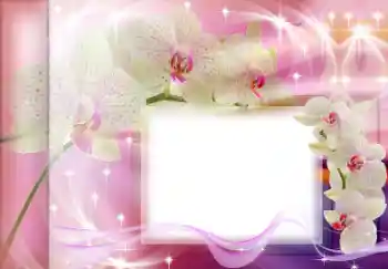 Εφέ φωτογραφιών στην κατηγορία Κορνίζες για φωτογραφίες γυναικών № 167835