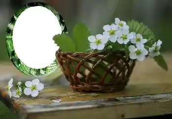 Εφέ φωτογραφιών στην κατηγορία Κορνίζες για φωτογραφίες γυναικών № 167999