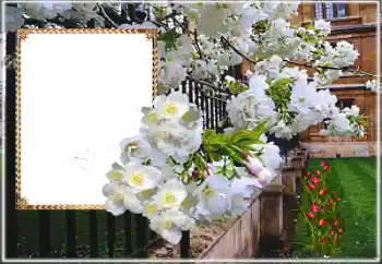 Εφέ φωτογραφιών στην κατηγορία Κορνίζες για φωτογραφίες γυναικών № 169025