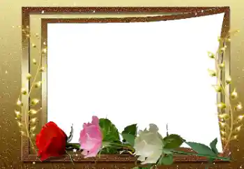 Εφέ φωτογραφιών στην κατηγορία Κορνίζες για φωτογραφίες γυναικών № 169033