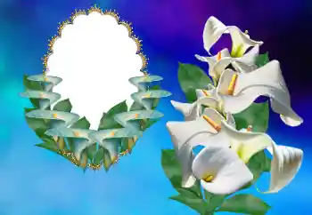 Εφέ φωτογραφιών στην κατηγορία Κορνίζες για φωτογραφίες γυναικών № 169156 Εφέ φωτογραφιών στην κατηγορία Κορνίζες για φωτογραφίες γυναικών № 169156