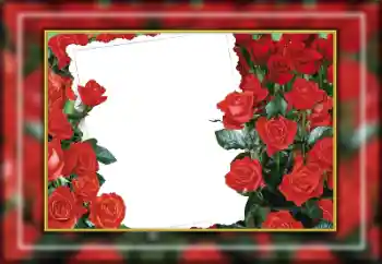 Εφέ φωτογραφιών στην κατηγορία Κορνίζες για φωτογραφίες γυναικών № 169274 Εφέ φωτογραφιών στην κατηγορία Κορνίζες για φωτογραφίες γυναικών № 169274