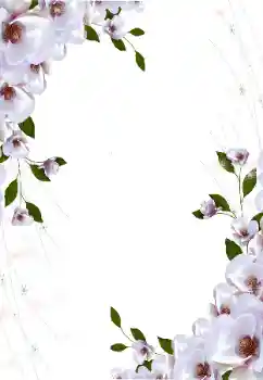 Εφέ φωτογραφιών στην κατηγορία Κορνίζες για φωτογραφίες γυναικών № 16997