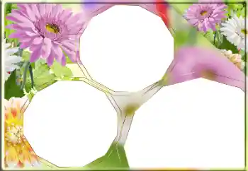 Εφέ φωτογραφιών στην κατηγορία Κορνίζες για φωτογραφίες γυναικών № 170418 Εφέ φωτογραφιών στην κατηγορία Κορνίζες για φωτογραφίες γυναικών № 170418