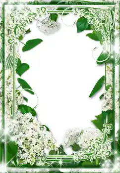 Εφέ φωτογραφιών στην κατηγορία Κορνίζες για φωτογραφίες γυναικών № 17130