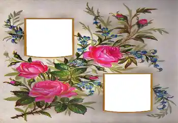 Εφέ φωτογραφιών στην κατηγορία Κορνίζες για φωτογραφίες γυναικών № 171684 Εφέ φωτογραφιών στην κατηγορία Κορνίζες για φωτογραφίες γυναικών № 171684