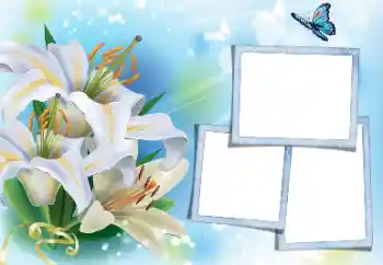 Εφέ φωτογραφιών στην κατηγορία Κορνίζες για φωτογραφίες γυναικών № 171813 Εφέ φωτογραφιών στην κατηγορία Κορνίζες για φωτογραφίες γυναικών № 171813