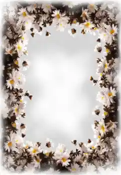 Εφέ φωτογραφιών στην κατηγορία Κορνίζες για φωτογραφίες γυναικών № 172819 Εφέ φωτογραφιών στην κατηγορία Κορνίζες για φωτογραφίες γυναικών № 172819