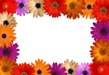 Εφέ φωτογραφιών στην κατηγορία Κορνίζες για φωτογραφίες γυναικών № 172916 Εφέ φωτογραφιών στην κατηγορία Κορνίζες για φωτογραφίες γυναικών № 172916