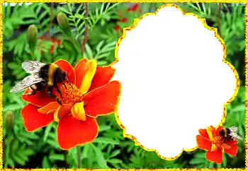 Εφέ φωτογραφιών στην κατηγορία Κορνίζες για φωτογραφίες γυναικών № 172931 Εφέ φωτογραφιών στην κατηγορία Κορνίζες για φωτογραφίες γυναικών № 172931