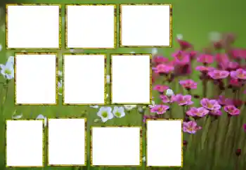 Εφέ φωτογραφιών στην κατηγορία Κορνίζες για φωτογραφίες γυναικών № 174173 Εφέ φωτογραφιών στην κατηγορία Κορνίζες για φωτογραφίες γυναικών № 174173