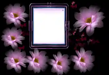 Εφέ φωτογραφιών στην κατηγορία Κορνίζες για φωτογραφίες γυναικών № 175502 Εφέ φωτογραφιών στην κατηγορία Κορνίζες για φωτογραφίες γυναικών № 175502