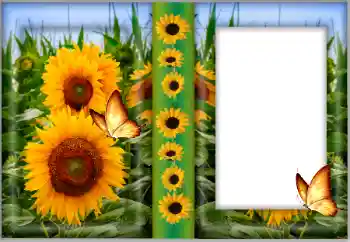 Εφέ φωτογραφιών στην κατηγορία Κορνίζες για φωτογραφίες γυναικών № 175542 Εφέ φωτογραφιών στην κατηγορία Κορνίζες για φωτογραφίες γυναικών № 175542