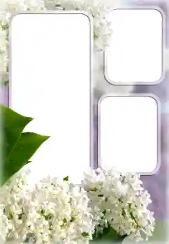 Εφέ φωτογραφιών στην κατηγορία Κορνίζες για φωτογραφίες γυναικών № 176613 Εφέ φωτογραφιών στην κατηγορία Κορνίζες για φωτογραφίες γυναικών № 176613