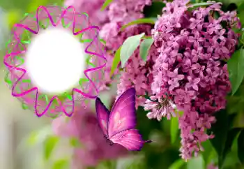 Εφέ φωτογραφιών στην κατηγορία Κορνίζες για φωτογραφίες γυναικών № 176770 Εφέ φωτογραφιών στην κατηγορία Κορνίζες για φωτογραφίες γυναικών № 176770