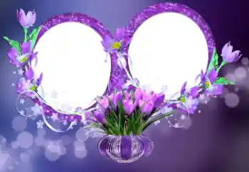 Εφέ φωτογραφιών στην κατηγορία Κορνίζες για φωτογραφίες γυναικών № 176777 Εφέ φωτογραφιών στην κατηγορία Κορνίζες για φωτογραφίες γυναικών № 176777