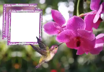 Εφέ φωτογραφιών στην κατηγορία Κορνίζες για φωτογραφίες γυναικών № 176778 Εφέ φωτογραφιών στην κατηγορία Κορνίζες για φωτογραφίες γυναικών № 176778