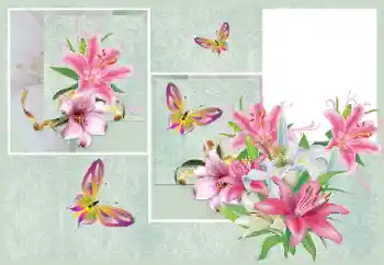 Εφέ φωτογραφιών στην κατηγορία Κορνίζες για φωτογραφίες γυναικών № 176820 Εφέ φωτογραφιών στην κατηγορία Κορνίζες για φωτογραφίες γυναικών № 176820