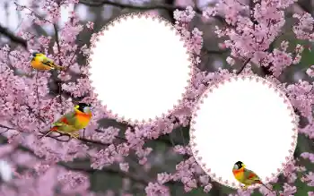 Εφέ φωτογραφιών στην κατηγορία Κορνίζες για φωτογραφίες γυναικών № 177884 Εφέ φωτογραφιών στην κατηγορία Κορνίζες για φωτογραφίες γυναικών № 177884